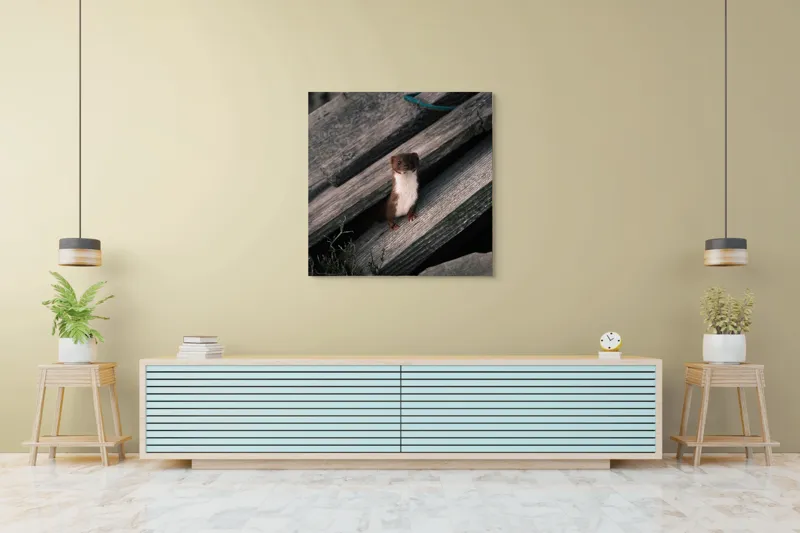Tablou Canvas, "Nu știu cine este această persoană.", Șopron, Veveriță, Lemn, Verdeață, Curiozitate, 100 x 100 cm – poza 5