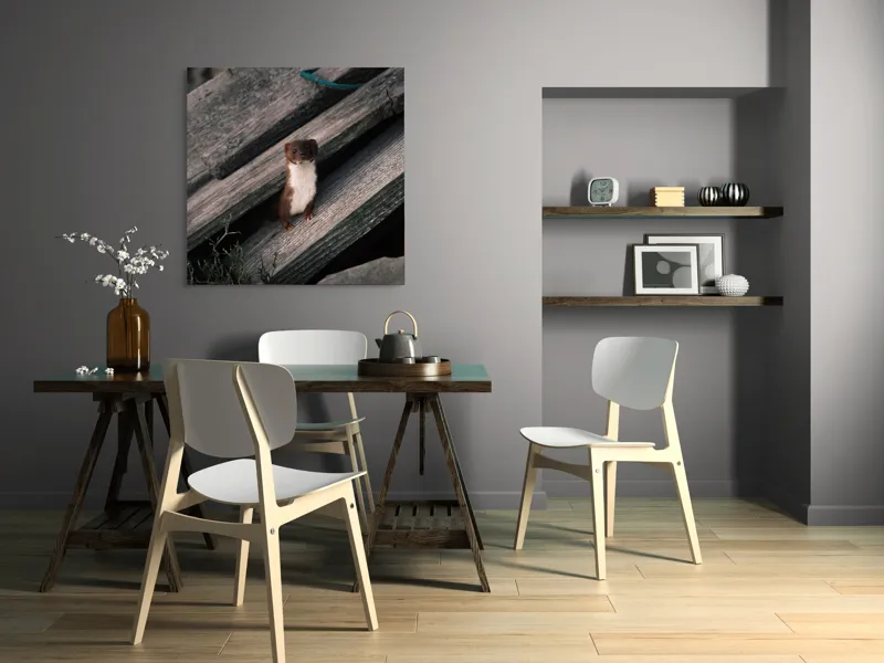 Tablou Canvas, "Nu știu cine este această persoană.", Șopron, Veveriță, Lemn, Verdeață, Curiozitate, 100 x 100 cm – poza 6