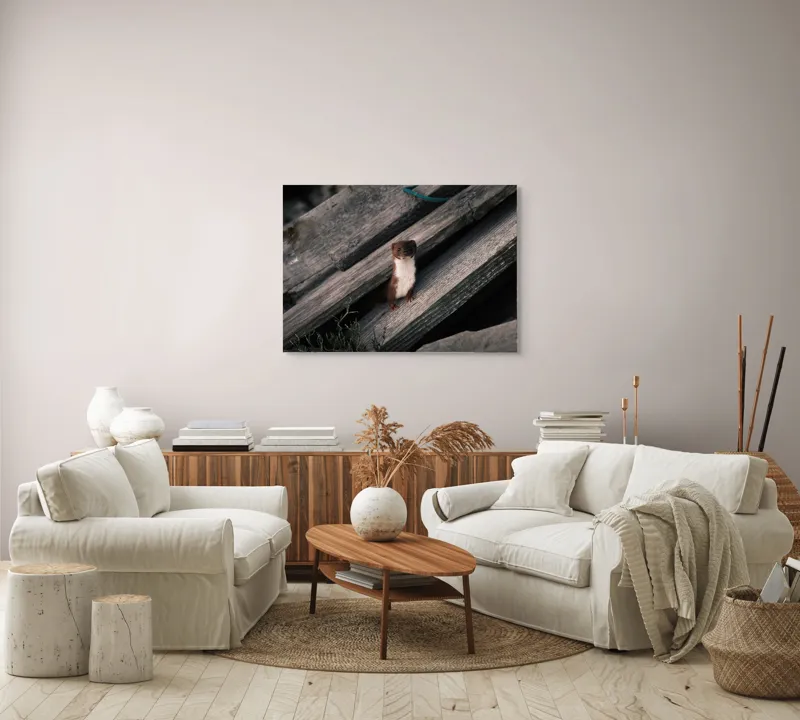 Tablou Canvas, "Nu știu cine este această persoană.", Șopron, Veveriță, Lemn, Verdeață, Curiozitate, 100 x 70 cm – poza 3