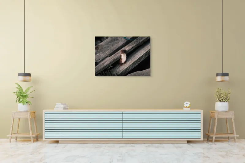 Tablou Canvas, "Nu știu cine este această persoană.", Șopron, Veveriță, Lemn, Verdeață, Curiozitate, 100 x 70 cm – poza 4