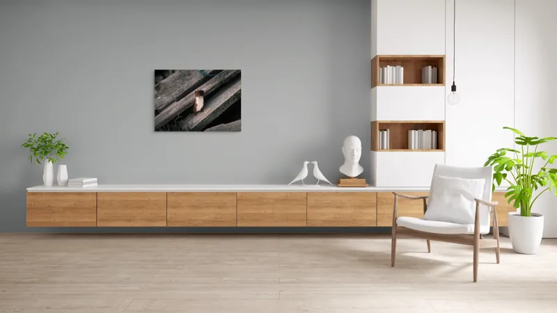 Tablou Canvas, "Nu știu cine este această persoană.", Șopron, Veveriță, Lemn, Verdeață, Curiozitate, 100 x 70 cm – poza 6