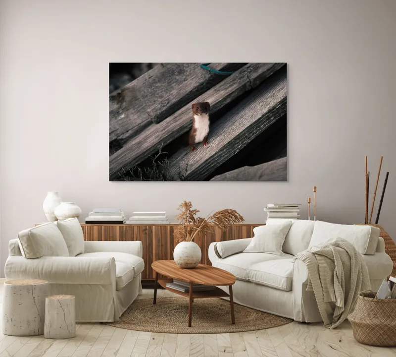 Tablou Canvas, "Nu știu cine este această persoană.", Șopron, Veveriță, Lemn, Verdeață, Curiozitate, 150 x 100 cm – poza 3