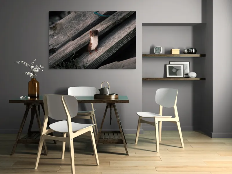Tablou Canvas, "Nu știu cine este această persoană.", Șopron, Veveriță, Lemn, Verdeață, Curiozitate, 150 x 100 cm – poza 5