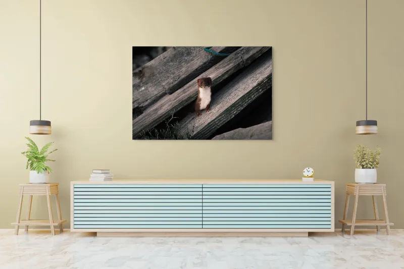 Tablou Canvas, "Nu știu cine este această persoană.", Șopron, Veveriță, Lemn, Verdeață, Curiozitate, 150 x 100 cm – poza 6