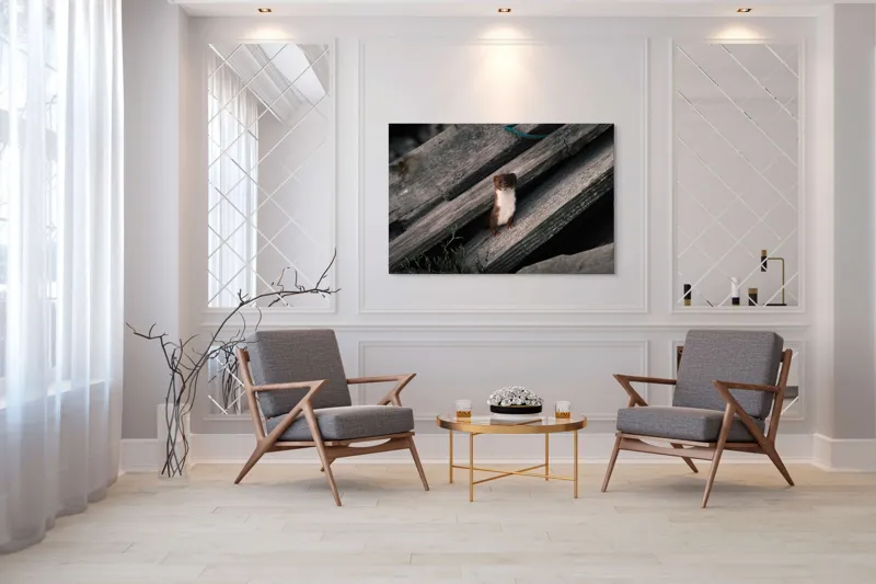 Tablou Canvas, "Nu știu cine este această persoană.", Șopron, Veveriță, Lemn, Verdeață, Curiozitate, 150 x 100 cm – poza 7