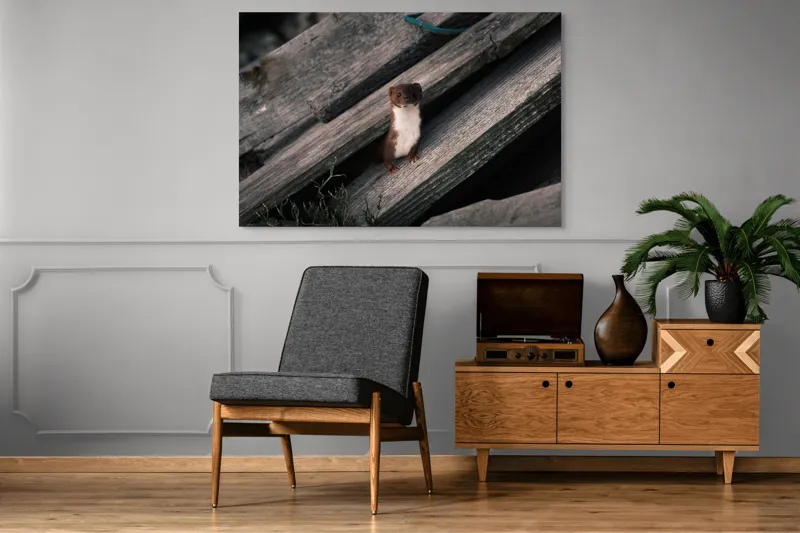 Tablou Canvas, "Nu știu cine este această persoană.", Șopron, Veveriță, Lemn, Verdeață, Curiozitate, 150 x 100 cm – poza 8