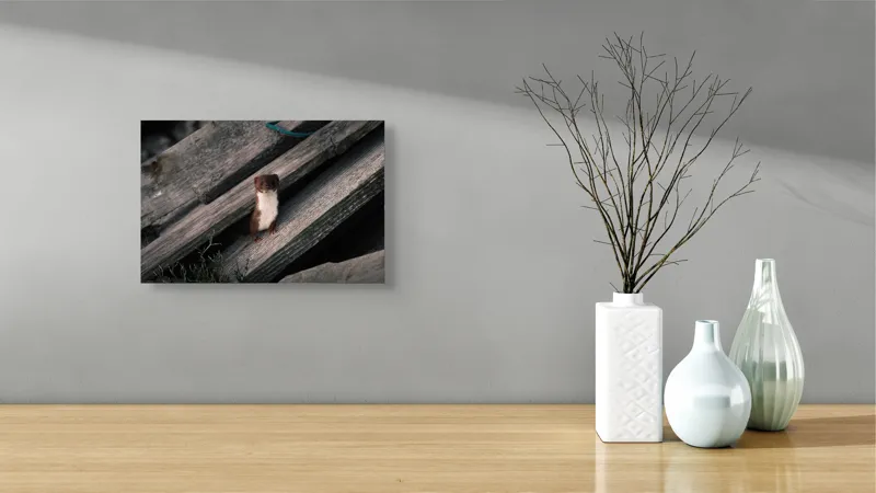 Tablou Canvas, Șopron, Veveriță, Lemn, Verdeață, Curiozitate, 39 x 26 cm – poza 8