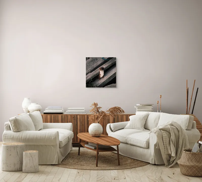 Tablou Canvas, "Nu știu cine este această persoană.", Șopron, Veveriță, Lemn, Verdeață, Curiozitate, 50 x 50 cm – poza 7