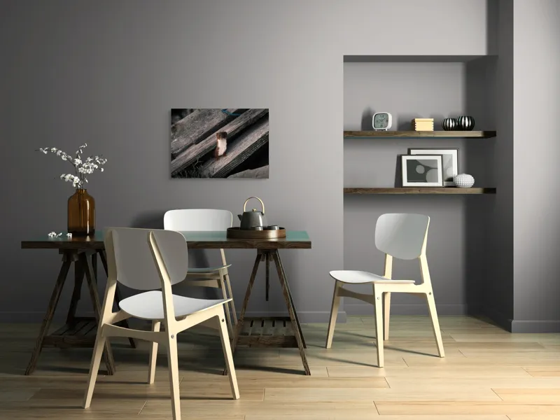 Tablou Canvas, "Nu știu cine este această persoană.", Șopron, Veveriță, Lemn, Verdeață, Curiozitate, 70 x 50 cm – poza 5