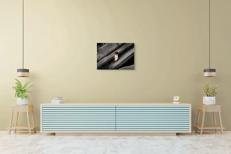 Tablou Canvas, "Nu știu cine este această persoană.", Șopron, Veveriță, Lemn, Verdeață, Curiozitate, 70 x 50 cm – poza 7