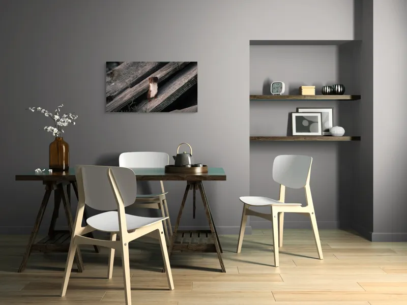 Tablou Canvas, "Nu știu cine este această persoană.", Șopron, Veveriță, Lemn, Verdeață, Curiozitate, 90 x 50 cm – poza 3