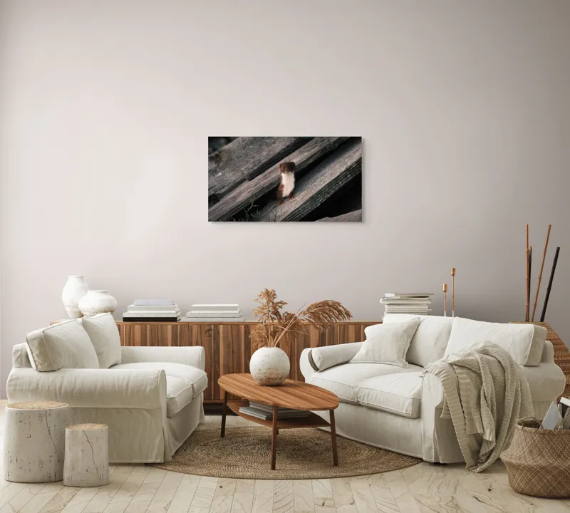Tablou Canvas, "Nu știu cine este această persoană.", Șopron, Veveriță, Lemn, Verdeață, Curiozitate, 90 x 50 cm – poza 4