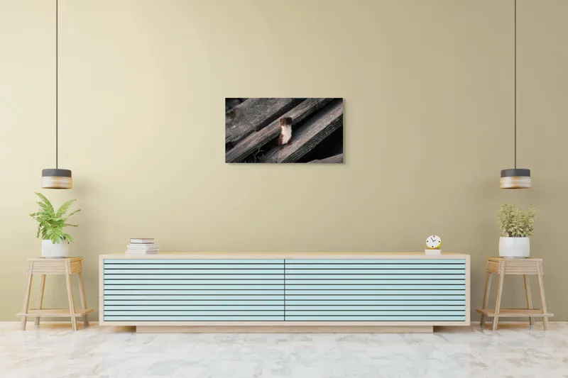 Tablou Canvas, "Nu știu cine este această persoană.", Șopron, Veveriță, Lemn, Verdeață, Curiozitate, 90 x 50 cm – poza 5