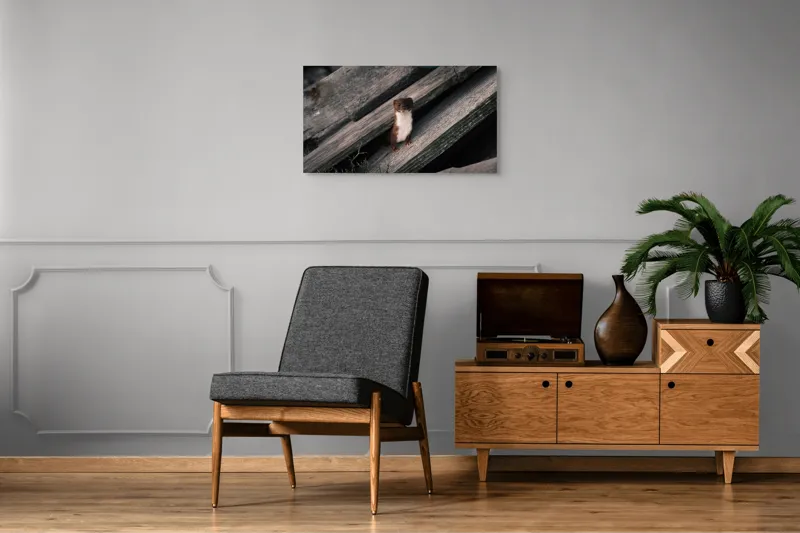 Tablou Canvas, "Nu știu cine este această persoană.", Șopron, Veveriță, Lemn, Verdeață, Curiozitate, 90 x 50 cm – poza 6