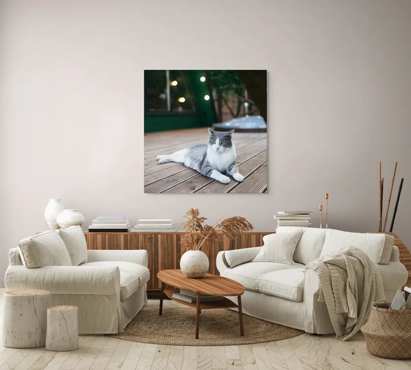 Tablou Canvas, "Pisica relaxată pe terasă de lemn", Pisică, Relaxare, Terasă, Lumină, Seară, Verde, Blană, Ochii, Odihnă, Calm, Lemn, Triunghi., 100 x 100 cm – poza 3