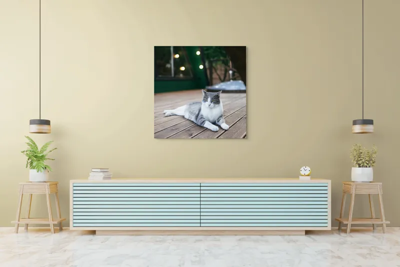 Tablou Canvas, "Pisica relaxată pe terasă de lemn", Pisică, Relaxare, Terasă, Lumină, Seară, Verde, Blană, Ochii, Odihnă, Calm, Lemn, Triunghi., 100 x 100 cm – poza 5
