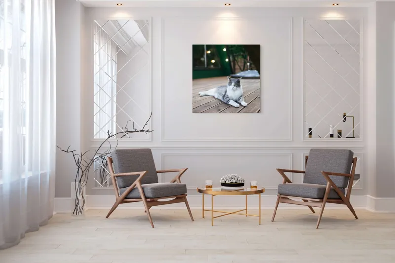 Tablou Canvas, "Pisica relaxată pe terasă de lemn", Pisică, Relaxare, Terasă, Lumină, Seară, Verde, Blană, Ochii, Odihnă, Calm, Lemn, Triunghi., 100 x 100 cm – poza 7