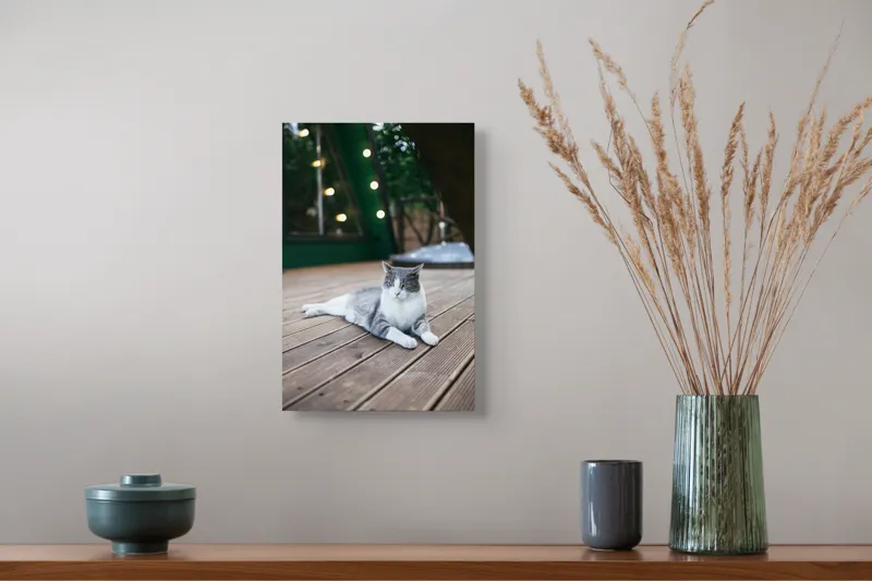 Tablou Canvas, "Pisica relaxată pe terasă de lemn", Pisică, Relaxare, Terasă, Lumină, Seară, Verde, Blană, Ochii, Odihnă, Calm, Lemn, Triunghi., 26 x 39 cm – poza 5
