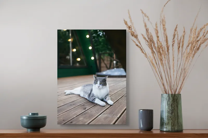 Tablou Canvas, "Pisica relaxată pe terasă de lemn", Pisică, Relaxare, Terasă, Lumină, Seară, Verde, Blană, Ochii, Odihnă, Calm, Lemn, Triunghi., 39 x 54 cm – poza 3