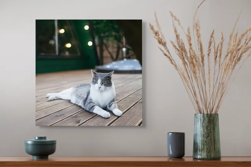 Tablou Canvas, "Pisica relaxată pe terasă de lemn", Pisică, Relaxare, Terasă, Lumină, Seară, Verde, Blană, Ochii, Odihnă, Calm, Lemn, Triunghi., 50 x 50 cm – poza 4