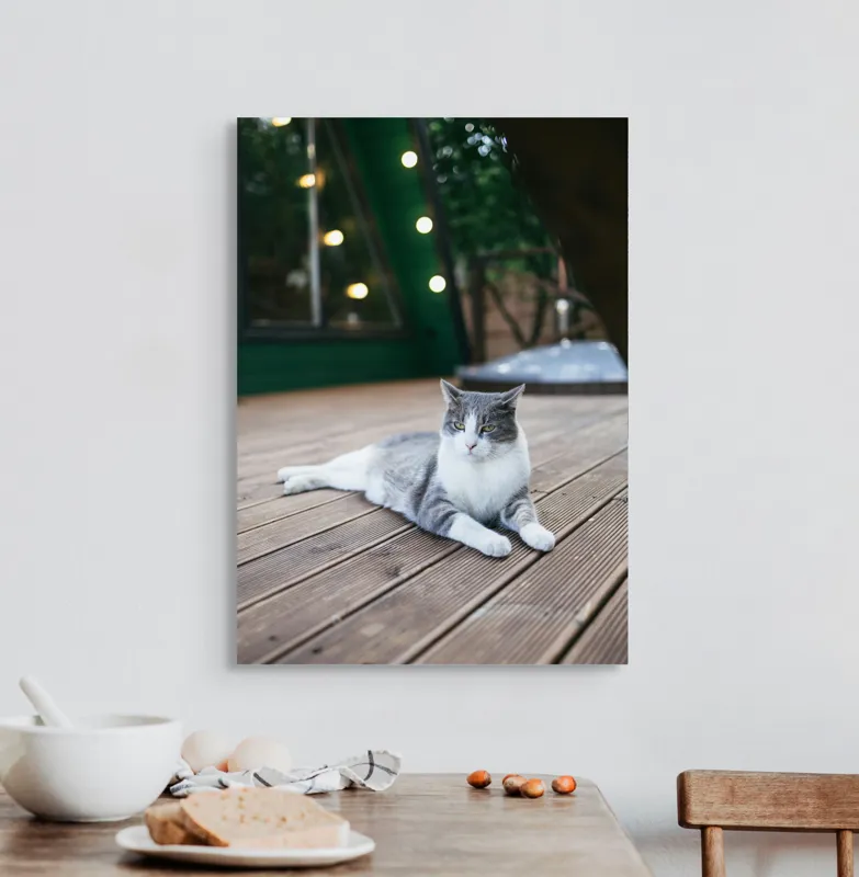 Tablou Canvas, "Pisica relaxată pe terasă de lemn", Pisică, Relaxare, Terasă, Lumină, Seară, Verde, Blană, Ochii, Odihnă, Calm, Lemn, Triunghi., 50 x 70 cm – poza 3