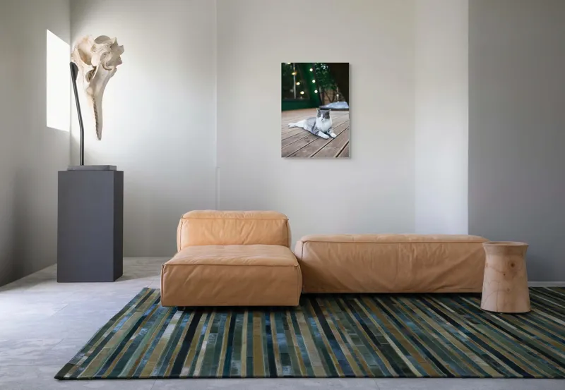 Tablou Canvas, "Pisica relaxată pe terasă de lemn", Pisică, Relaxare, Terasă, Lumină, Seară, Verde, Blană, Ochii, Odihnă, Calm, Lemn, Triunghi., 50 x 70 cm – poza 7