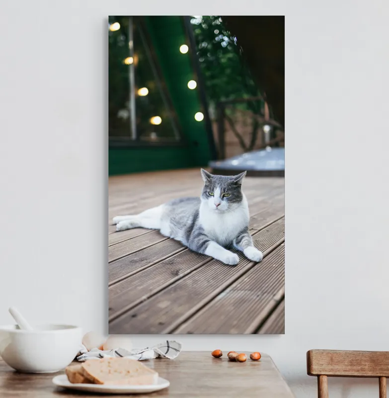 Tablou Canvas, "Pisica relaxată pe terasă de lemn", Pisică, Relaxare, Terasă, Lumină, Seară, Verde, Blană, Ochii, Odihnă, Calm, Lemn, Triunghi., 50 x 90 cm – poza 3