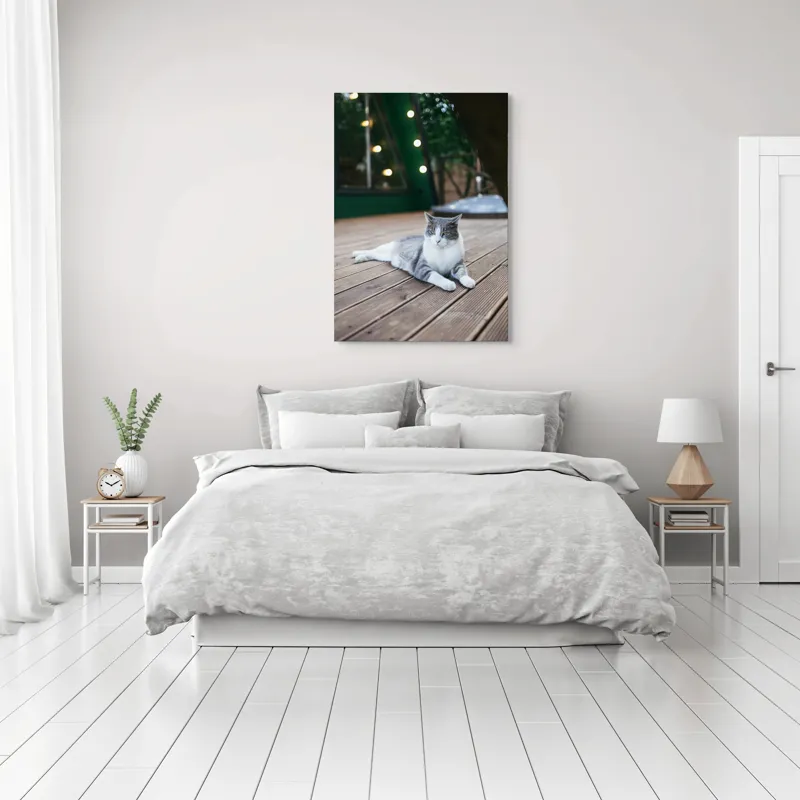 Tablou Canvas, "Pisica relaxată pe terasă de lemn", Pisică, Relaxare, Terasă, Lumină, Seară, Verde, Blană, Ochii, Odihnă, Calm, Lemn, Triunghi., 70 x 100 cm – poza 3