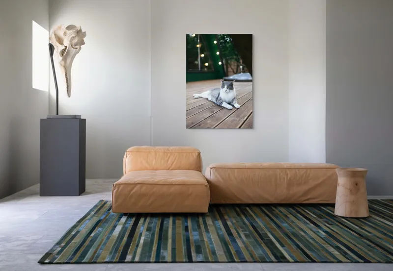 Tablou Canvas, "Pisica relaxată pe terasă de lemn", Pisică, Relaxare, Terasă, Lumină, Seară, Verde, Blană, Ochii, Odihnă, Calm, Lemn, Triunghi., 70 x 100 cm – poza 7