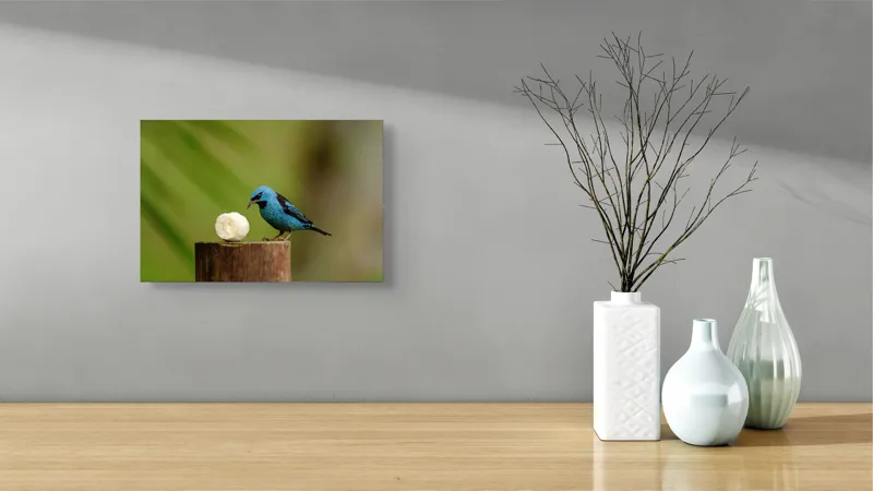 Tablou Canvas, "Pasărea albastră degustând banană", Pasăre, Albastră, Banana, Lemn, Verde, Natural, Contrast, Delicat, Observare, 39 x 26 cm – poza 8