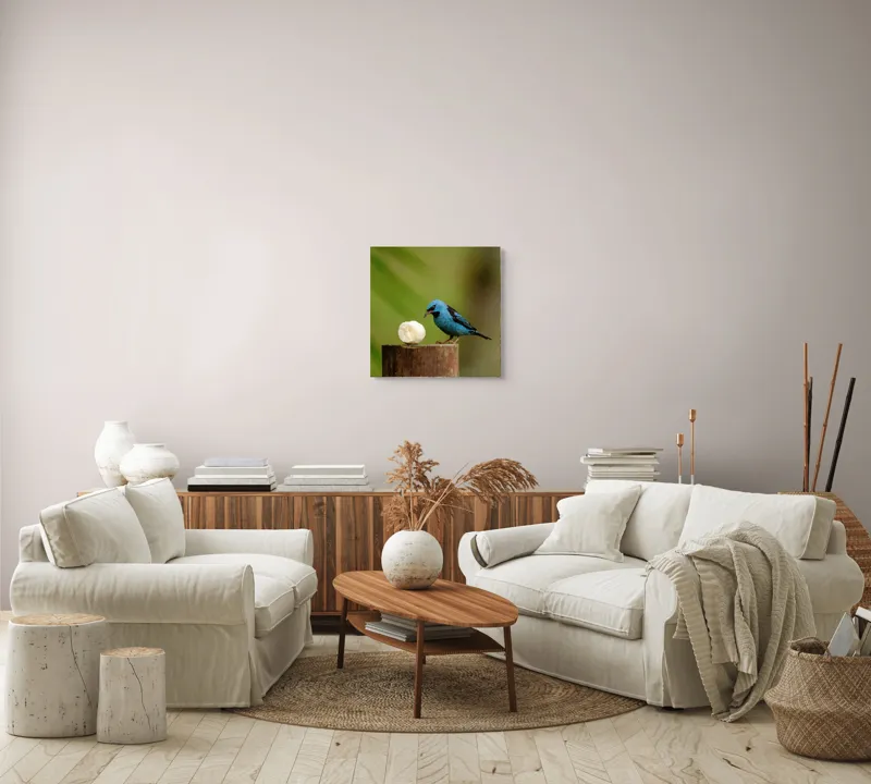 Tablou Canvas, "Pasărea albastră degustând banană", Pasăre, Albastră, Banana, Lemn, Verde, Natural, Contrast, Delicat, Observare, 50 x 50 cm – poza 7