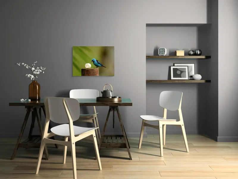 Tablou Canvas, "Pasărea albastră degustând banană", Pasăre, Albastră, Banana, Lemn, Verde, Natural, Contrast, Delicat, Observare, 70 x 50 cm – poza 5