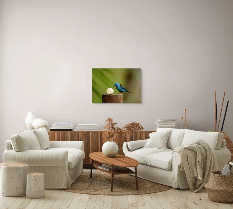 Tablou Canvas, "Pasărea albastră degustând banană", Pasăre, Albastră, Banana, Lemn, Verde, Natural, Contrast, Delicat, Observare, 70 x 50 cm – poza 6