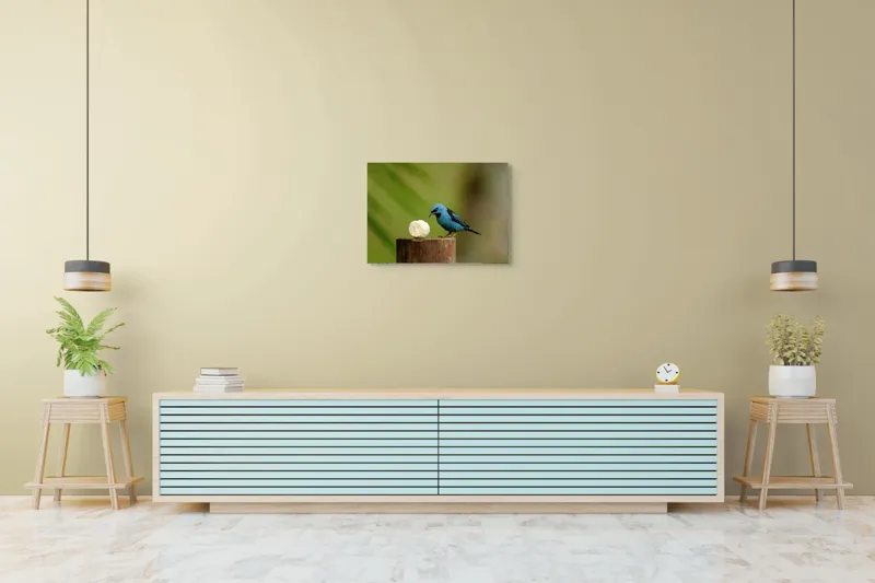 Tablou Canvas, "Pasărea albastră degustând banană", Pasăre, Albastră, Banana, Lemn, Verde, Natural, Contrast, Delicat, Observare, 70 x 50 cm – poza 7