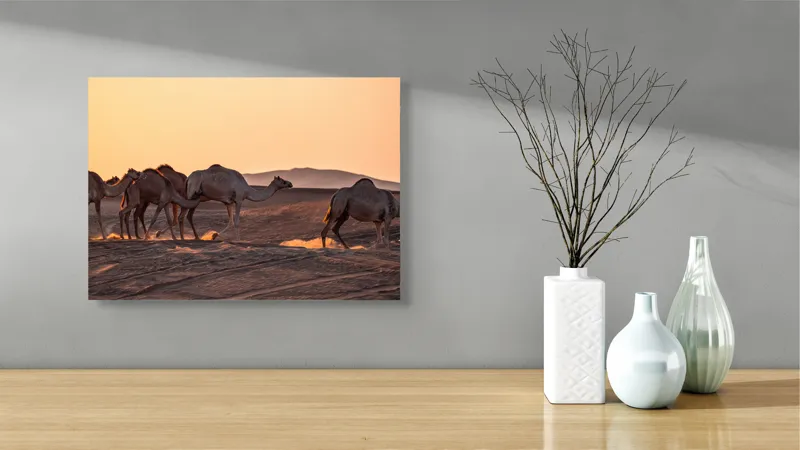 Tablou Canvas, "Caravana cămilelor în deșertul arămiu", Deșert, Cămile, Apus, Nisip, Linie, 54 x 39 cm – poza 3