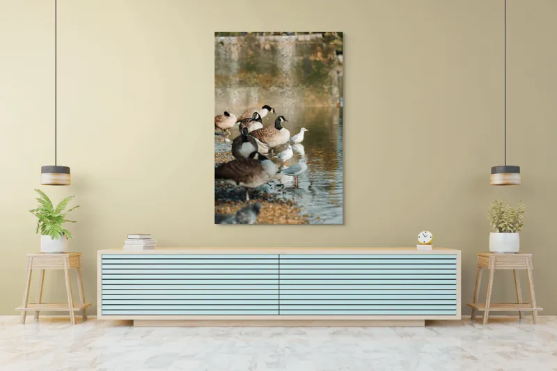 Tablou Canvas, "Gâște și pescăruși pe malul lacului", Gâște, Rățuște, Apă, Mal, Penaj, Natură, Reflecții, Culoare, Liniște, Peisaj., 100 x 150 cm – poza 4