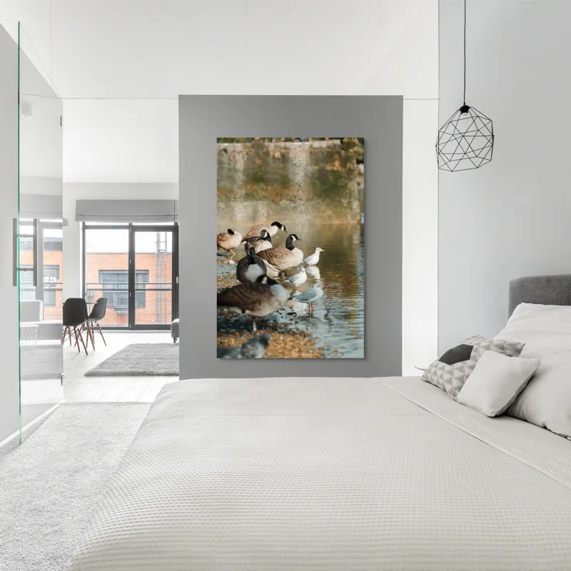 Tablou Canvas, "Gâște și pescăruși pe malul lacului", Gâște, Rățuște, Apă, Mal, Penaj, Natură, Reflecții, Culoare, Liniște, Peisaj., 100 x 150 cm – poza 5