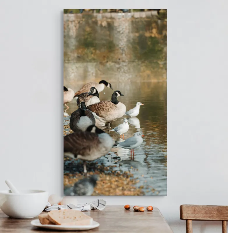 Tablou Canvas, "Gâște și pescăruși pe malul lacului", Gâște, Rățuște, Apă, Mal, Penaj, Natură, Reflecții, Culoare, Liniște, Peisaj., 50 x 90 cm – poza 3