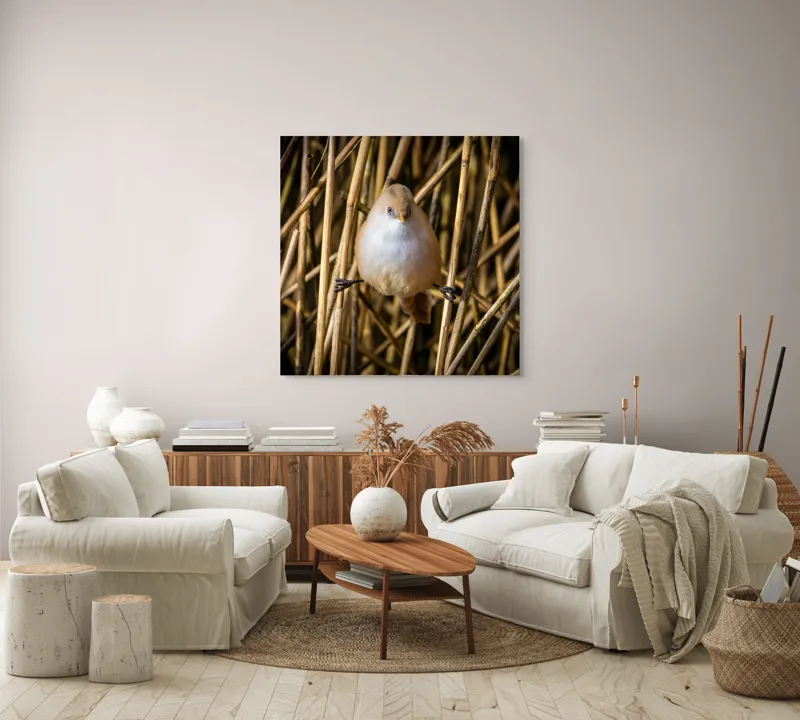 Tablou Canvas, "Pasărea echilibristă în stufărișul de toamnă", Puf, Pene, Bețe, Echilibru, Natură, Delicat, Culoare, Lumină, 100 x 100 cm – poza 3