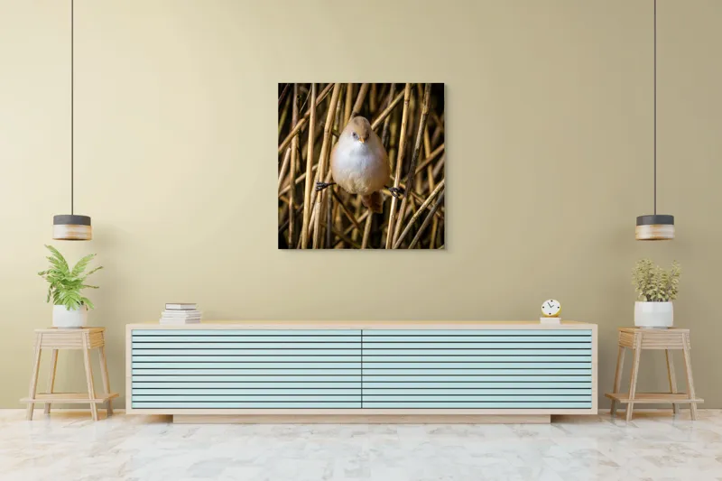 Tablou Canvas, "Pasărea echilibristă în stufărișul de toamnă", Puf, Pene, Bețe, Echilibru, Natură, Delicat, Culoare, Lumină, 100 x 100 cm – poza 5