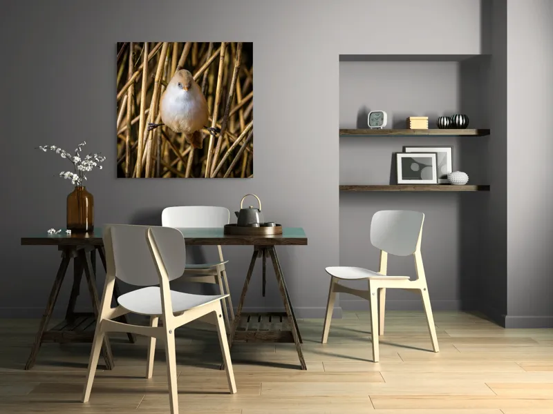 Tablou Canvas, "Pasărea echilibristă în stufărișul de toamnă", Puf, Pene, Bețe, Echilibru, Natură, Delicat, Culoare, Lumină, 100 x 100 cm – poza 6
