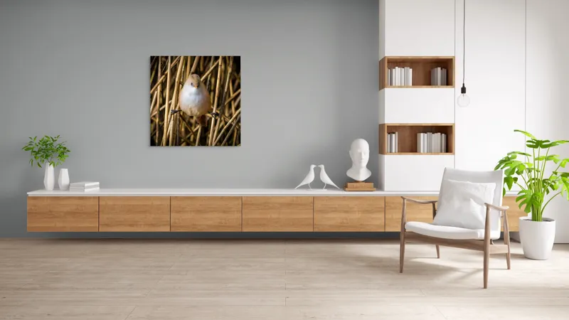 Tablou Canvas, "Pasărea echilibristă în stufărișul de toamnă", Puf, Pene, Bețe, Echilibru, Natură, Delicat, Culoare, Lumină, 100 x 100 cm – poza 8