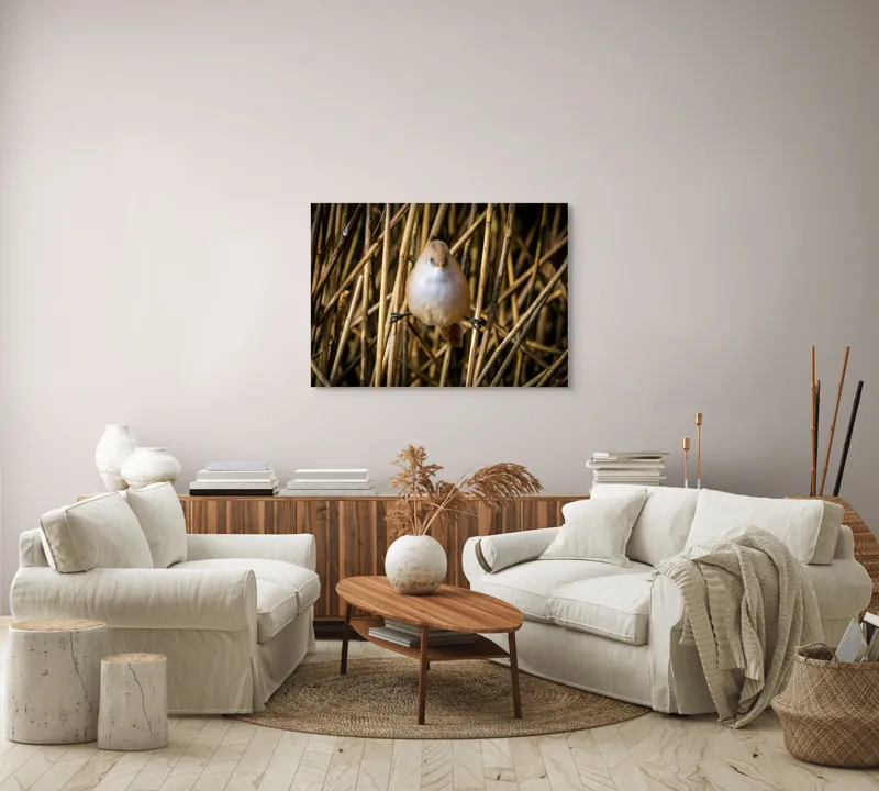 Tablou Canvas, "Pasărea echilibristă în stufărișul de toamnă", Puf, Pene, Bețe, Echilibru, Natură, Delicat, Culoare, Lumină, 100 x 70 cm – poza 3