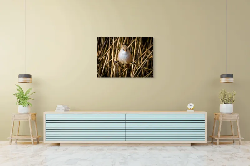 Tablou Canvas, "Pasărea echilibristă în stufărișul de toamnă", Puf, Pene, Bețe, Echilibru, Natură, Delicat, Culoare, Lumină, 100 x 70 cm – poza 4