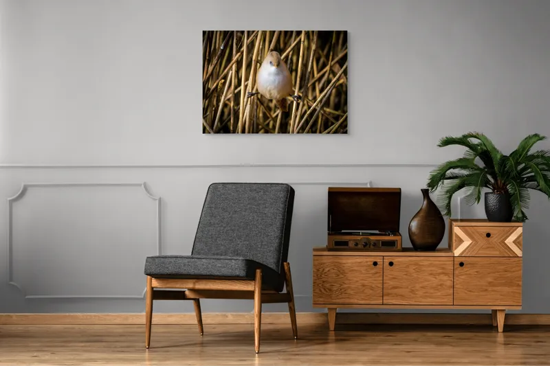 Tablou Canvas, "Pasărea echilibristă în stufărișul de toamnă", Puf, Pene, Bețe, Echilibru, Natură, Delicat, Culoare, Lumină, 100 x 70 cm – poza 8