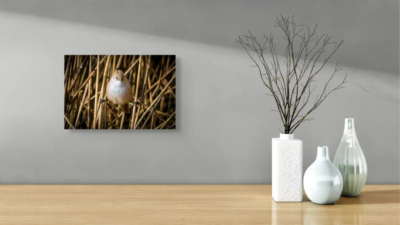 Tablou Canvas, "Pasărea echilibristă în stufărișul de toamnă", Puf, Pene, Bețe, Echilibru, Natură, Delicat, Culoare, Lumină, 39 x 26 cm – poza 8
