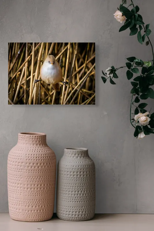 Tablou Canvas, "Pasărea echilibristă în stufărișul de toamnă", Puf, Pene, Bețe, Echilibru, Natură, Delicat, Culoare, Lumină, 54 x 39 cm – poza 8