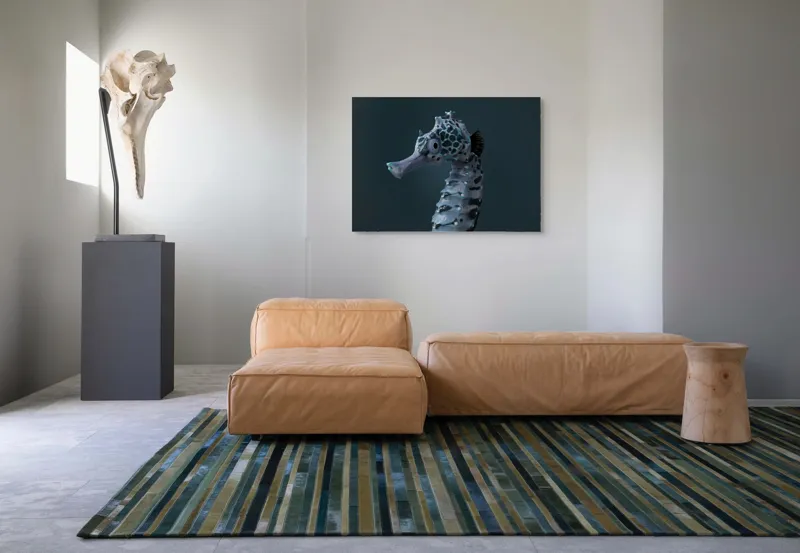 Tablou Canvas, "Căluț de mare multicolor enigmatic", Nu știu cine este în imagine., 100 x 70 cm – poza 7