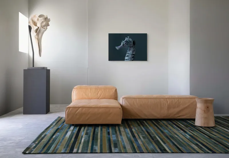 Tablou Canvas, "Căluț de mare multicolor enigmatic", Nu știu cine este în imagine., 70 x 50 cm – poza 8