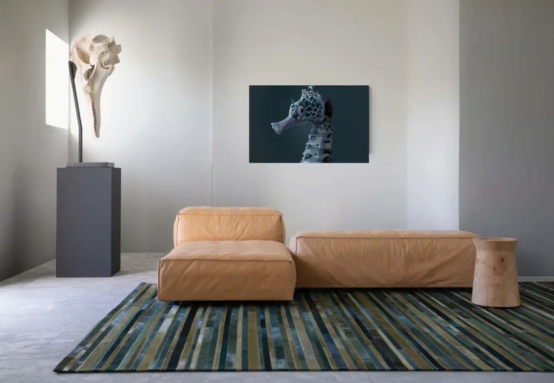 Tablou Canvas, "Căluț de mare multicolor enigmatic", Nu știu cine este în imagine., 90 x 50 cm – poza 8
